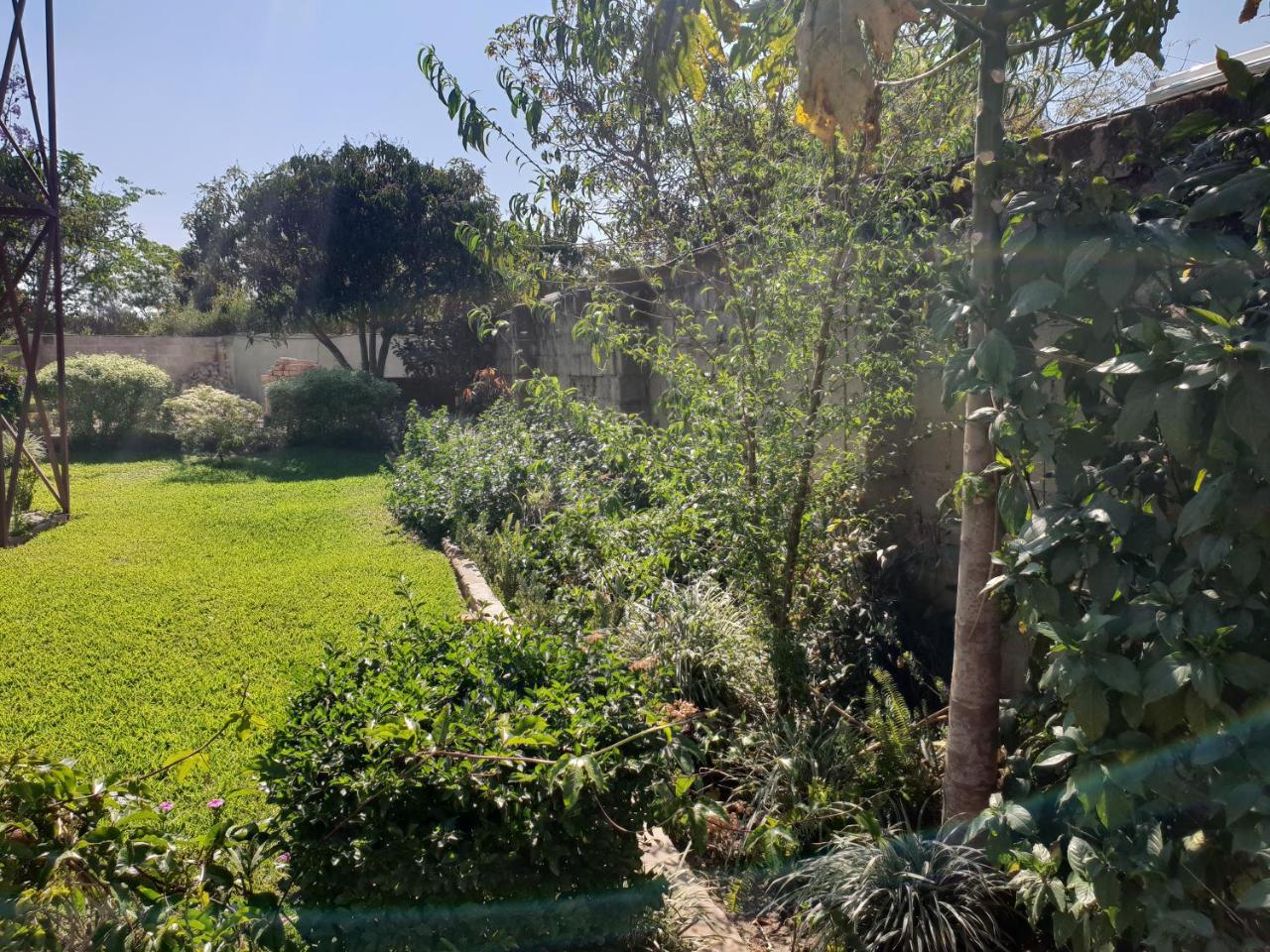 The Oasis Evergreen Lodge Choma 외부 사진