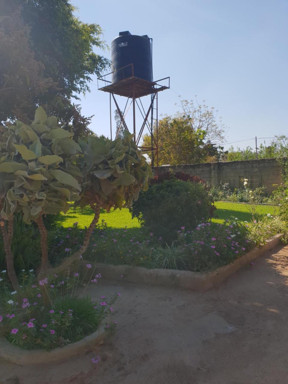 The Oasis Evergreen Lodge Choma 외부 사진