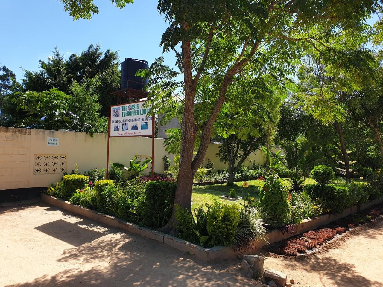 The Oasis Evergreen Lodge Choma 외부 사진