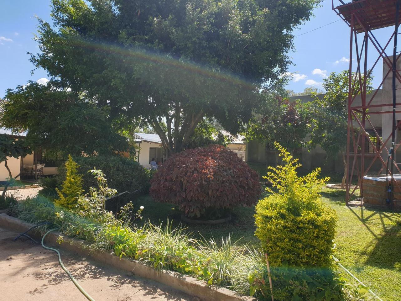 The Oasis Evergreen Lodge Choma 외부 사진